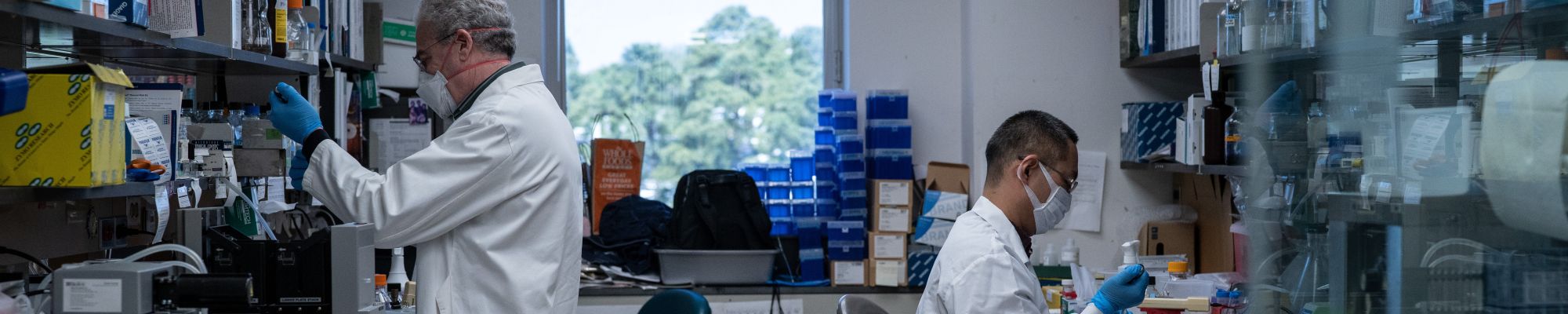 engel miyake lab
